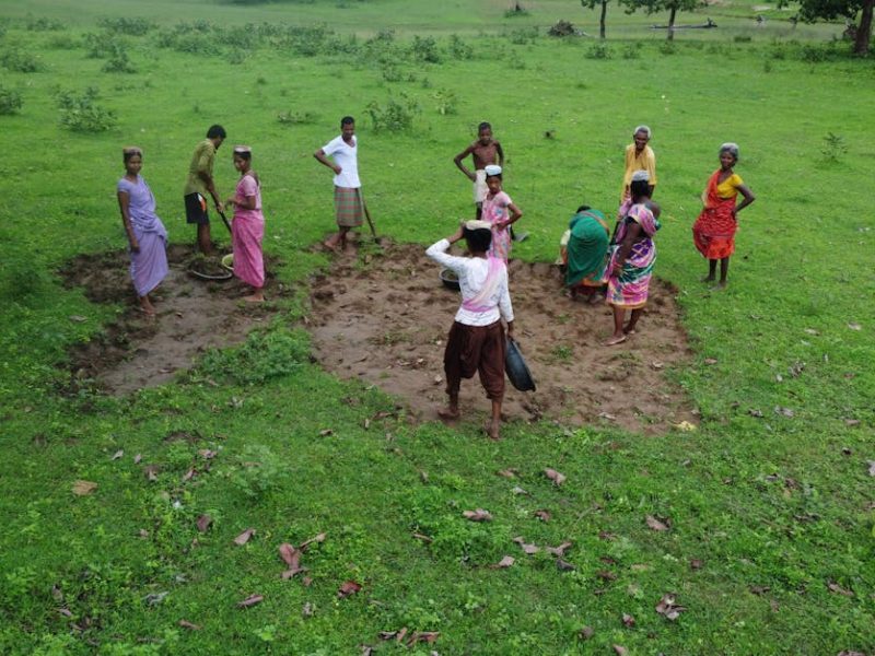pexels-photo-17718721-17718721 Group of adults working on a rural field in Pendalbai, India, surrounded by lush greenery.